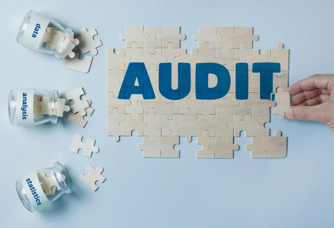Audits Your Profile